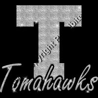 GLT61 SILVER GLITTER Thumbnail